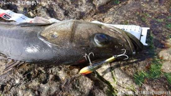 �����Х�