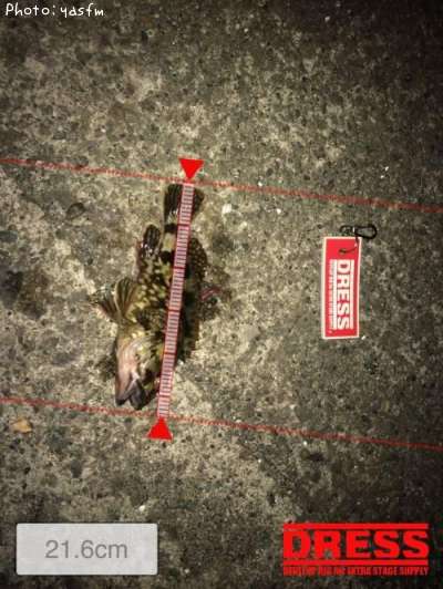 �����Υ���Х�