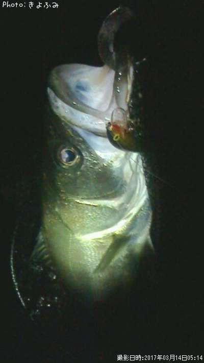 �����Х�