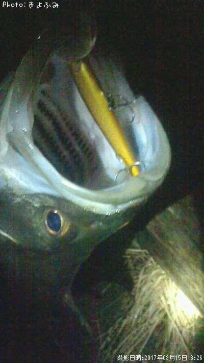 �����Х�