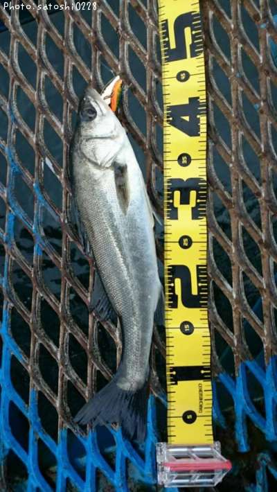 �����Х�