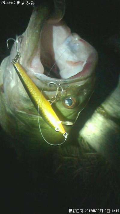 �֥�å��Х�