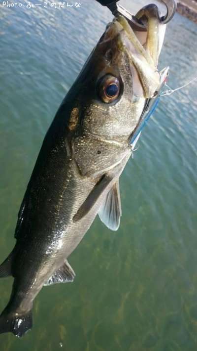 �����Х�