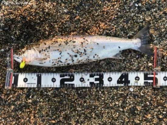 ������ޥ�