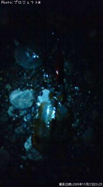 �����ꥤ��