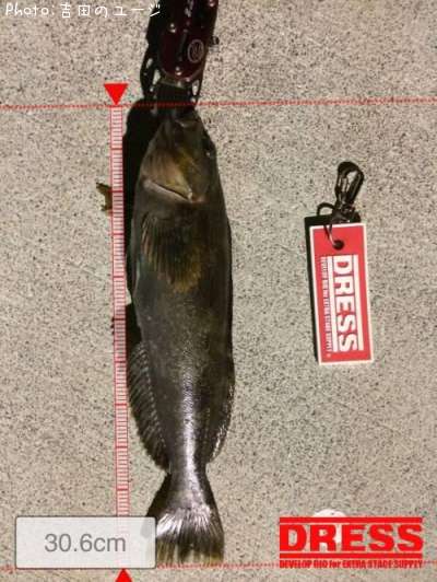 �����ʥ�