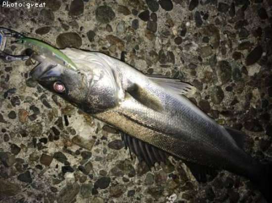 �����Х�