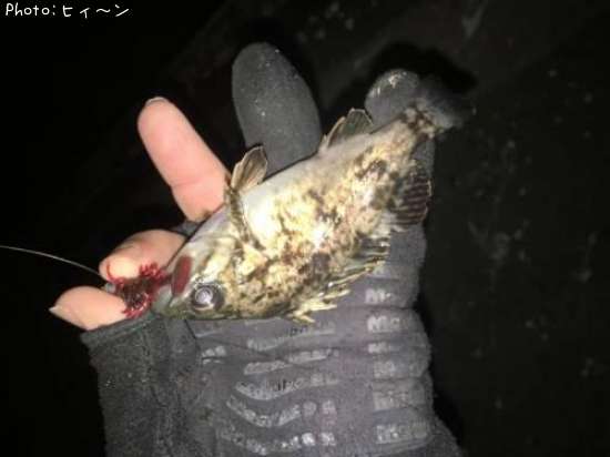 �����Υ���С���