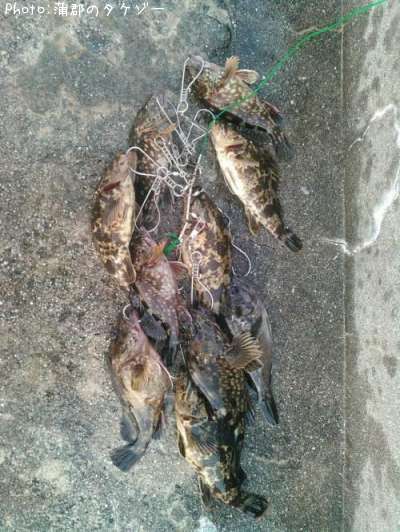 �����Υ���Х롢����������������