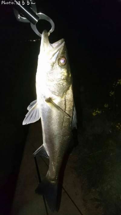 �����Х�