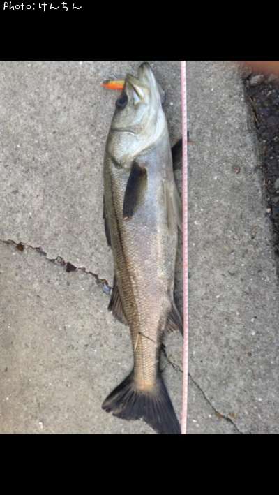 �����Х�