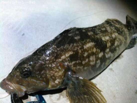 �����ʥ�