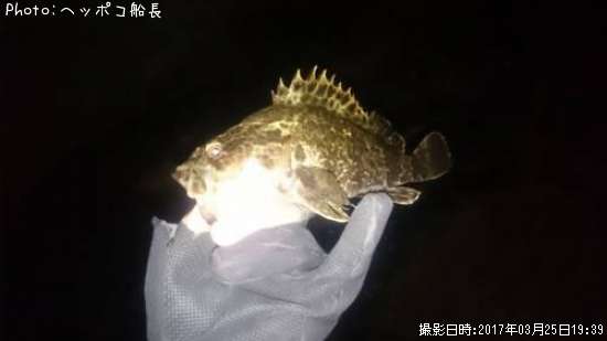 �����Υ���Х�