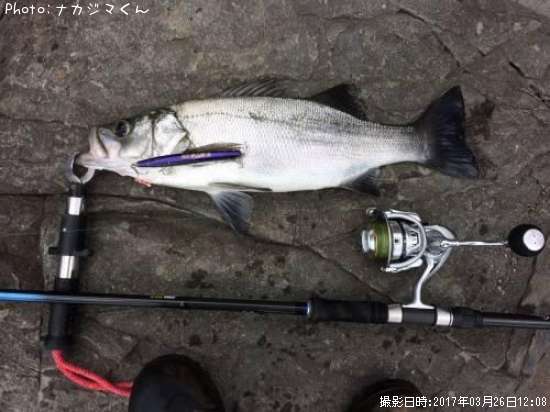 �ҥ饹����