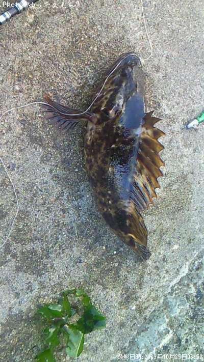 �٥å�������