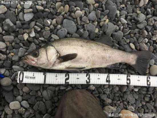 �ҥ饹����