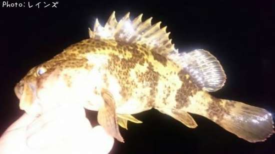 �����Υ�����Х�