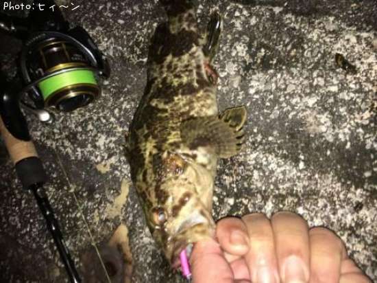 �����Υ���Х�