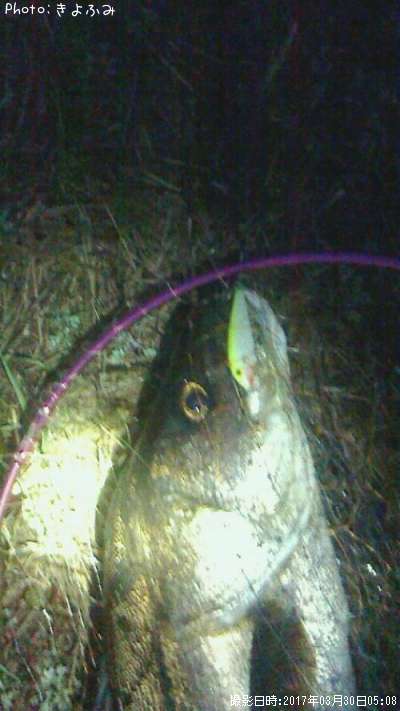 �����Х�