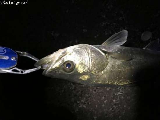 �����Х�