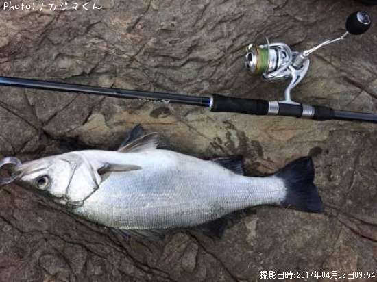 �ҥ饹����