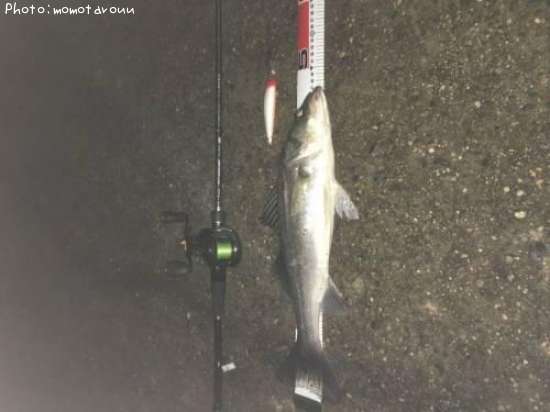 �����Х�