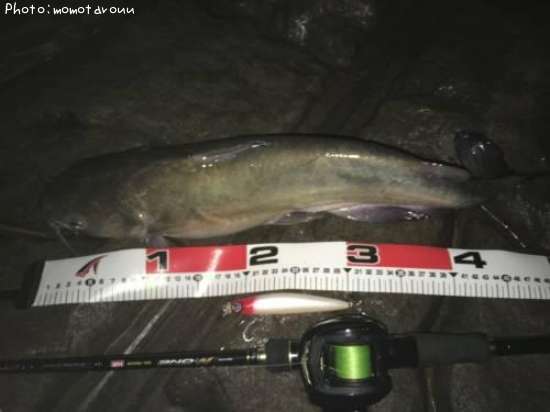 ����ꥫ�ʥޥ�