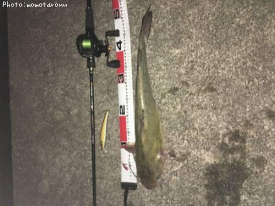 ����ꥫ�ʥޥ�