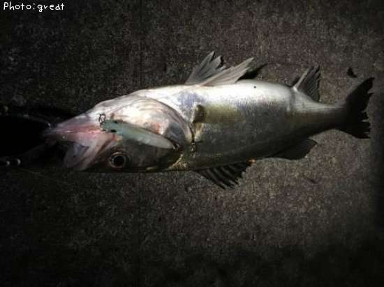 �����Х�