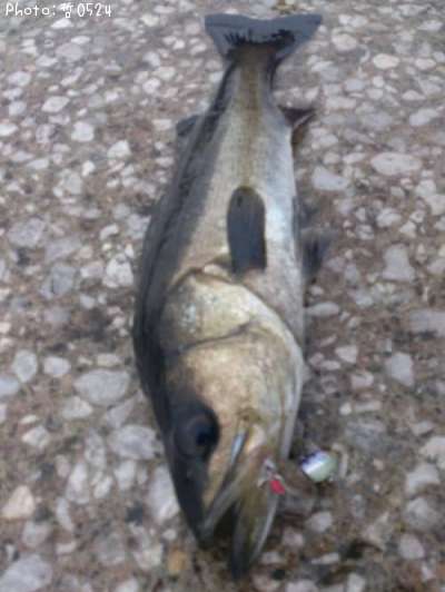 �����Х�