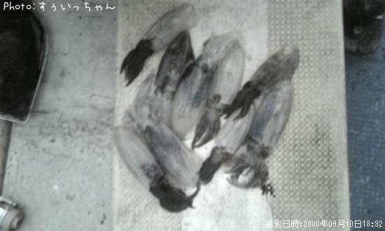 �����ꥤ��