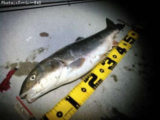 �ޥ륿������