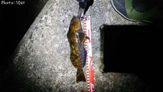 �����ʥ�