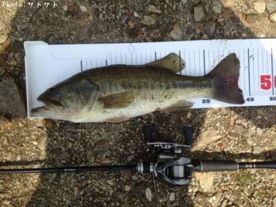 �֥�å��Х�