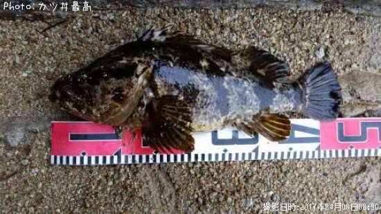 �����Υ���Х�