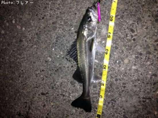 �����Х�