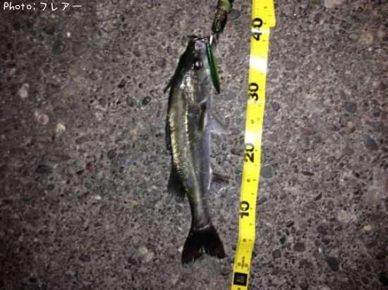 �����Х�