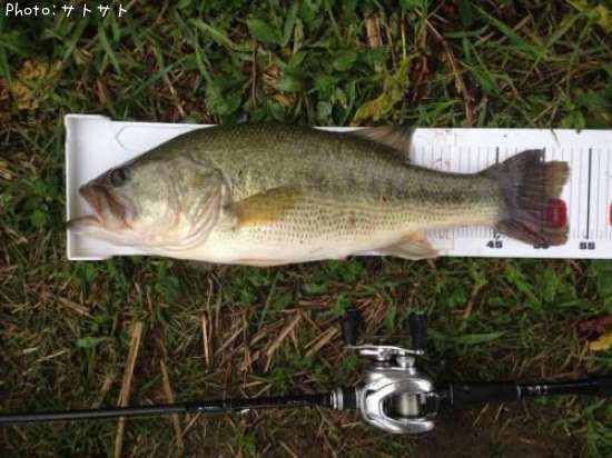 �֥�å��Х�