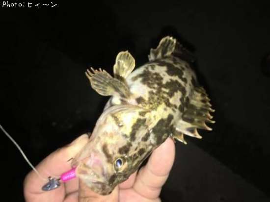 �����Υ���Х�