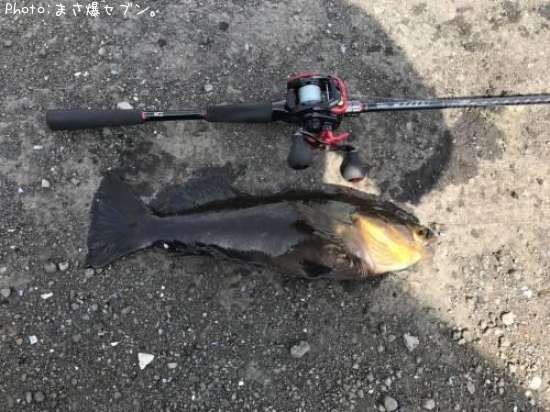 �����ʥ�