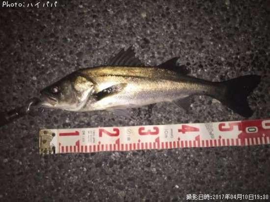 �����Х�