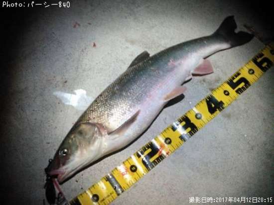 �ޥ륿������