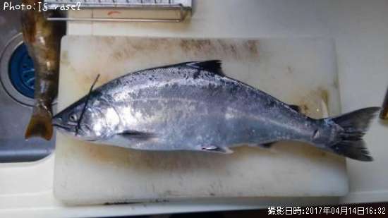 ������ޥ�