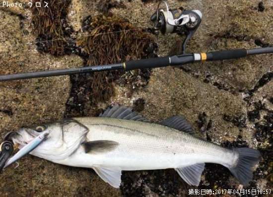 �����Х�