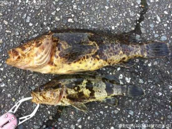 �����Υ���Х�