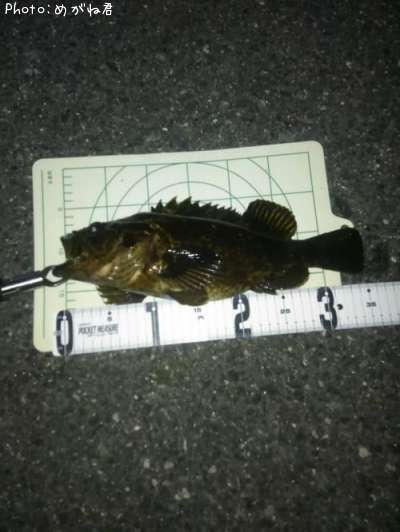 �����Υ���Х�