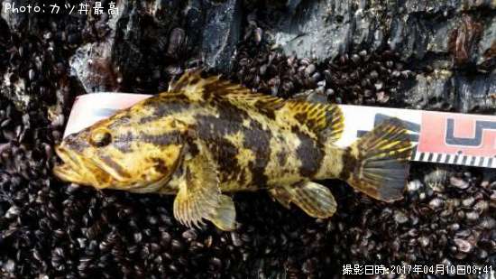 �����Υ���Х�