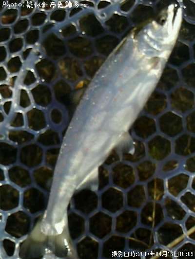 ���ĥ��ޥ�