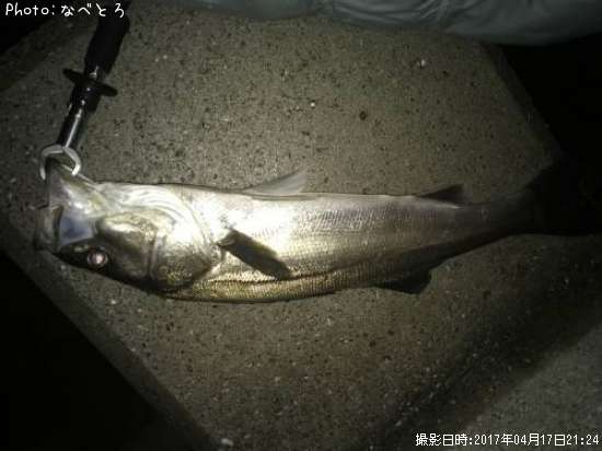 �����Х�