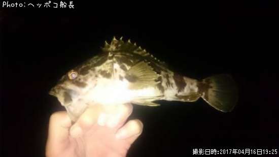 �����Υ���Х�